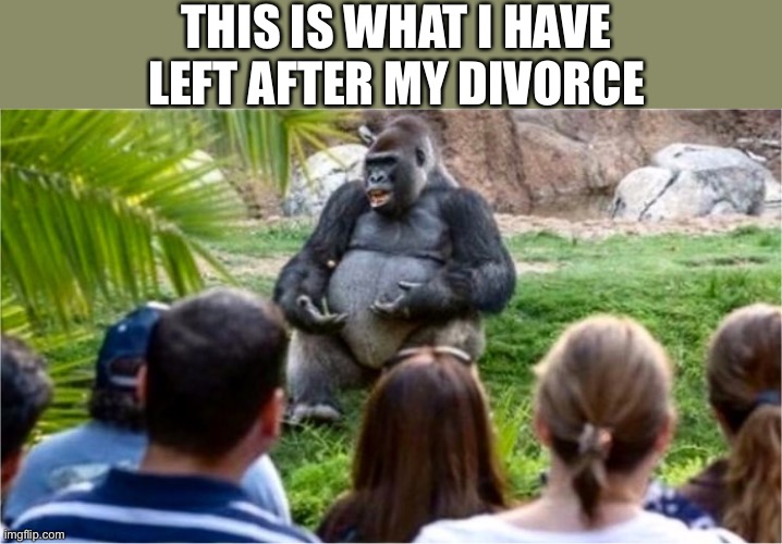 Divorce Court For Men | THIS IS WHAT I HAVE LEFT AFTER MY DIVORCE | image tagged in gorilla glue | made w/ Imgflip meme maker