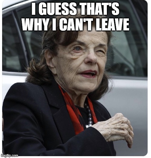 Senator Diane Feinstein | I GUESS THAT'S WHY I CAN'T LEAVE | image tagged in senator diane feinstein | made w/ Imgflip meme maker