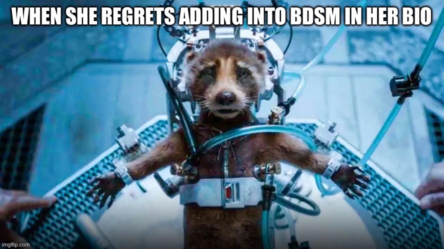 when she regrets adding “into bdsm” in her bio | image tagged in rocket raccoon,guardians of the galaxy,bdsm,tinder,dating,funny memes | made w/ Imgflip meme maker