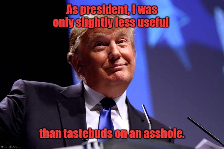 Donald Trump No2 | As president, I was only slightly less useful; than tastebuds on an asshole. | image tagged in donald trump no2 | made w/ Imgflip meme maker