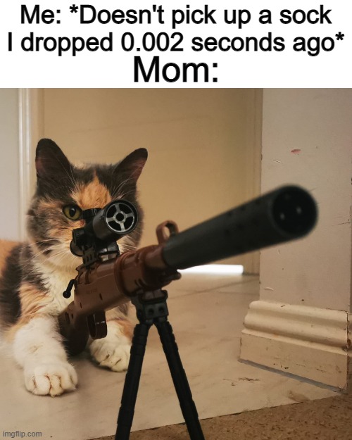 Really relatable -_- | Mom:; Me: *Doesn't pick up a sock I dropped 0.002 seconds ago* | image tagged in cats | made w/ Imgflip meme maker