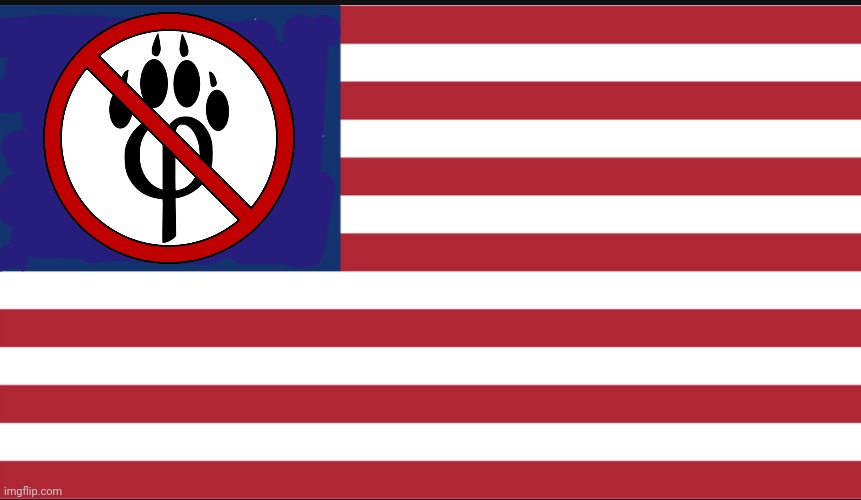 New flag | image tagged in usa | made w/ Imgflip meme maker