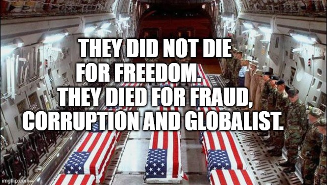 Military caskets | THEY DID NOT DIE FOR FREEDOM.         THEY DIED FOR FRAUD, CORRUPTION AND GLOBALIST. | image tagged in military caskets | made w/ Imgflip meme maker