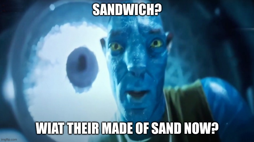 Staring Avatar Guy | SANDWICH? WIAT THEIR MADE OF SAND NOW? | image tagged in staring avatar guy | made w/ Imgflip meme maker