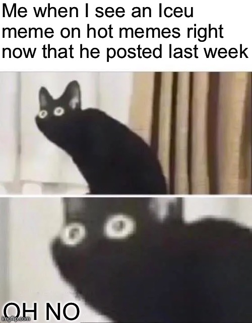 Will he reach 1 week? (probably, unless cheems and meme making machine can do something) | Me when I see an Iceu meme on hot memes right now that he posted last week; OH NO | image tagged in oh no black cat | made w/ Imgflip meme maker