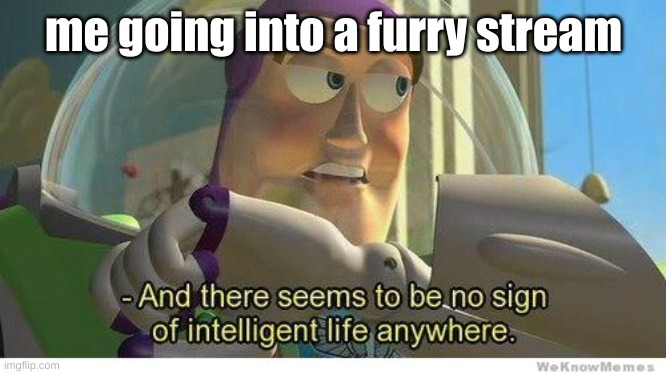 Buzz lightyear no intelligent life | me going into a furry stream | image tagged in buzz lightyear no intelligent life | made w/ Imgflip meme maker