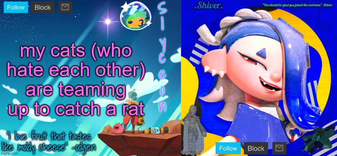 shiver and sylc | my cats (who hate each other) are teaming up to catch a rat | image tagged in shiver and sylc | made w/ Imgflip meme maker