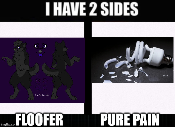 I have two sides | FLOOFER              PURE PAIN | image tagged in i have two sides | made w/ Imgflip meme maker