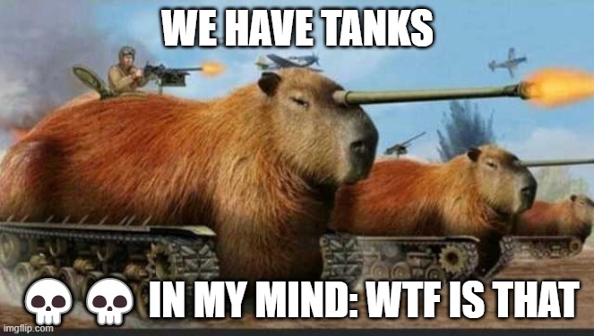 Bro has goofy ahh tanks | WE HAVE TANKS; 💀💀 IN MY MIND: WTF IS THAT | image tagged in memes,fun,funny | made w/ Imgflip meme maker