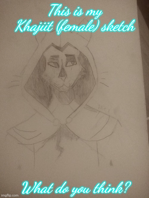 Rate on a scale of 1-10 | This is my Khajiit (female) sketch; What do you think? | image tagged in khajiit,drawing | made w/ Imgflip meme maker
