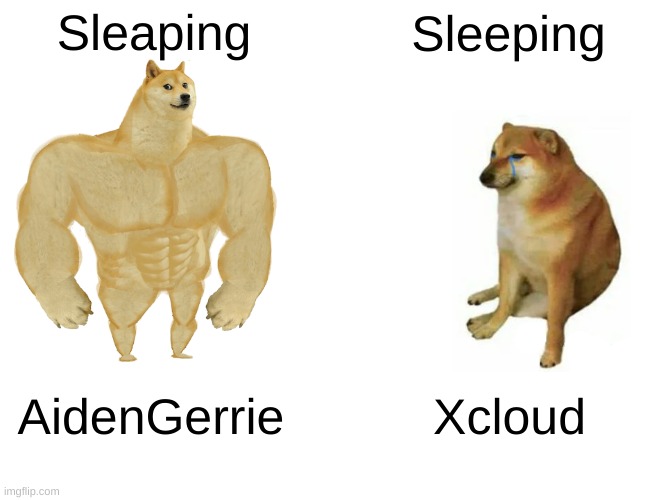 Sleaping Sleeping AidenGerrie Xcloud | image tagged in memes,buff doge vs cheems | made w/ Imgflip meme maker