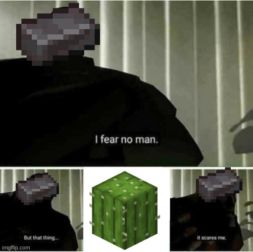 We al know this | image tagged in i fear no man,minecraft,thanos | made w/ Imgflip meme maker