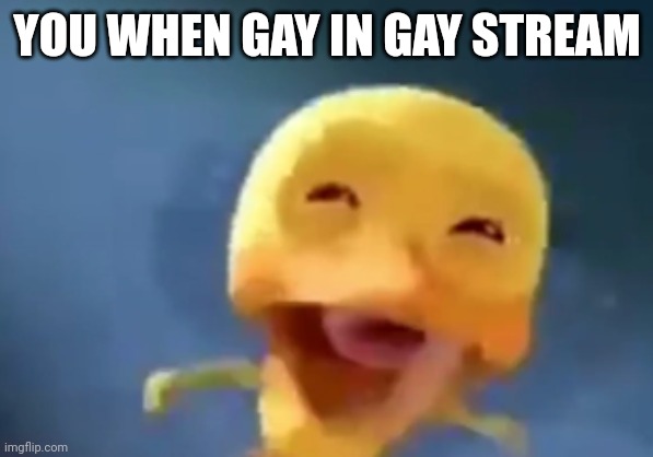 crying duck | YOU WHEN GAY IN GAY STREAM | image tagged in crying duck | made w/ Imgflip meme maker