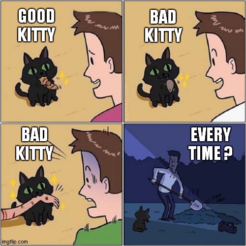 The Joys Of Cat Ownership ! | BAD KITTY; GOOD KITTY; EVERY TIME ? BAD KITTY | image tagged in cats,good,bad,body disposal | made w/ Imgflip meme maker