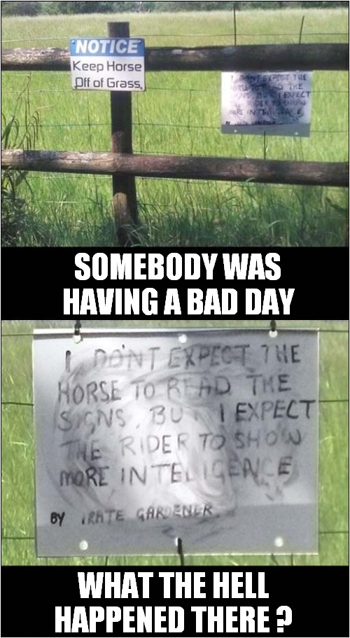 Sarcasm In The Countryside ! | SOMEBODY WAS HAVING A BAD DAY; WHAT THE HELL HAPPENED THERE ? | image tagged in sarcasm,horses,keep of the grass | made w/ Imgflip meme maker