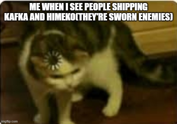 The first meme of the stream NO HATE MEMES | ME WHEN I SEE PEOPLE SHIPPING KAFKA AND HIMEKO(THEY'RE SWORN ENEMIES) | image tagged in buffering cat | made w/ Imgflip meme maker