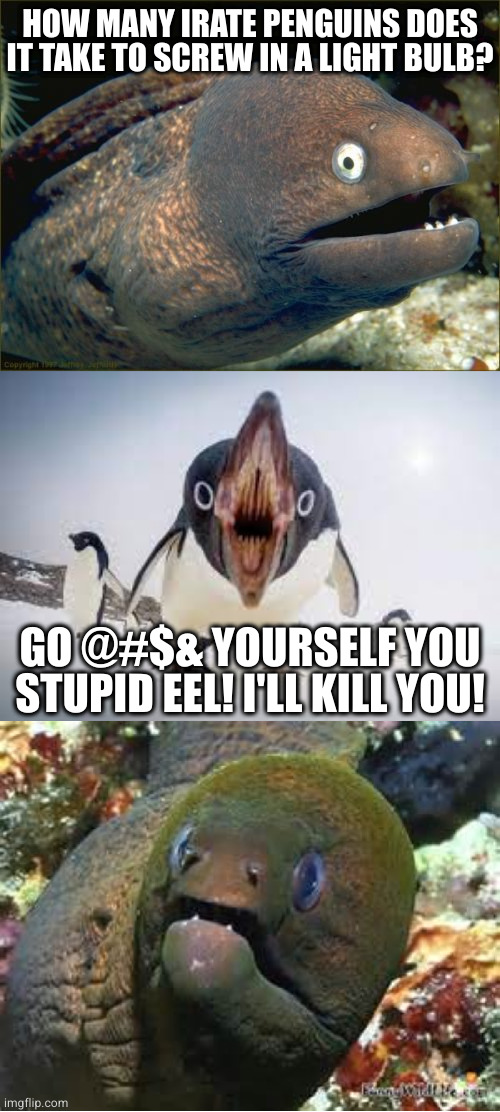 Don't mess with penguins | HOW MANY IRATE PENGUINS DOES IT TAKE TO SCREW IN A LIGHT BULB? GO @#$& YOURSELF YOU STUPID EEL! I'LL KILL YOU! | image tagged in memes,bad joke eel,you have angered pingu,mother of god eel | made w/ Imgflip meme maker