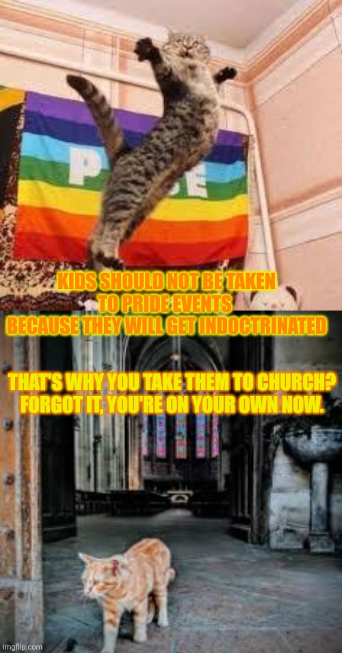 This #lolcat wonders if kids should be indoctrinated, just not always | KIDS SHOULD NOT BE TAKEN
TO PRIDE EVENTS 
BECAUSE THEY WILL GET INDOCTRINATED; THAT'S WHY YOU TAKE THEM TO CHURCH?
FORGOT IT, YOU'RE ON YOUR OWN NOW. | image tagged in lgbtq,indoctrination,lolcat,grooming,conservative hypocrisy | made w/ Imgflip meme maker