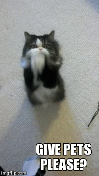 give it to me gif imgur