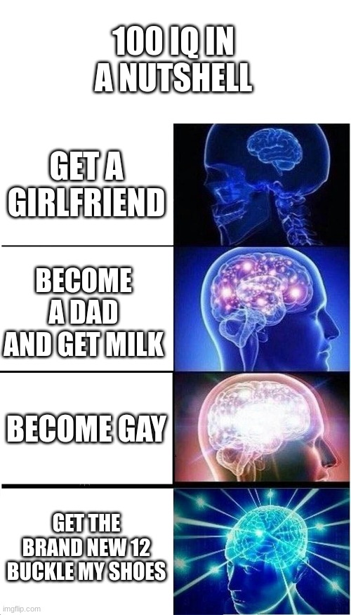 Expanding Brain Meme | 100 IQ IN A NUTSHELL; GET A GIRLFRIEND; BECOME A DAD AND GET MILK; BECOME GAY; GET THE BRAND NEW 12 BUCKLE MY SHOES | image tagged in memes,expanding brain | made w/ Imgflip meme maker