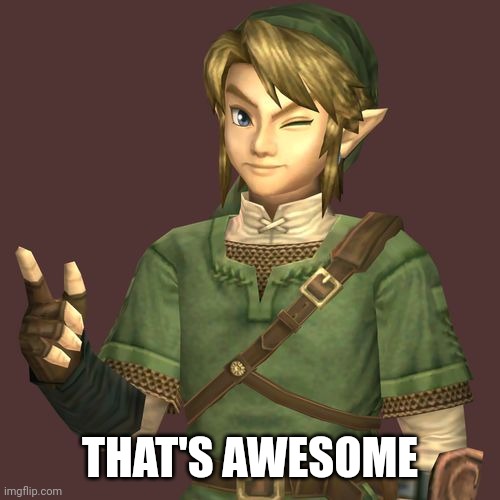 Zelda | THAT'S AWESOME | image tagged in zelda | made w/ Imgflip meme maker