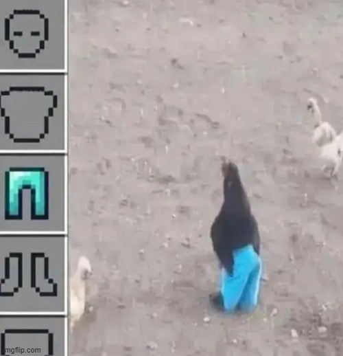 image tagged in minecraft | made w/ Imgflip meme maker