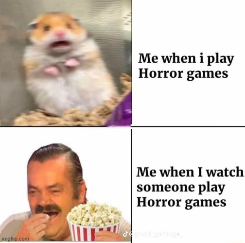 image tagged in memes | made w/ Imgflip meme maker