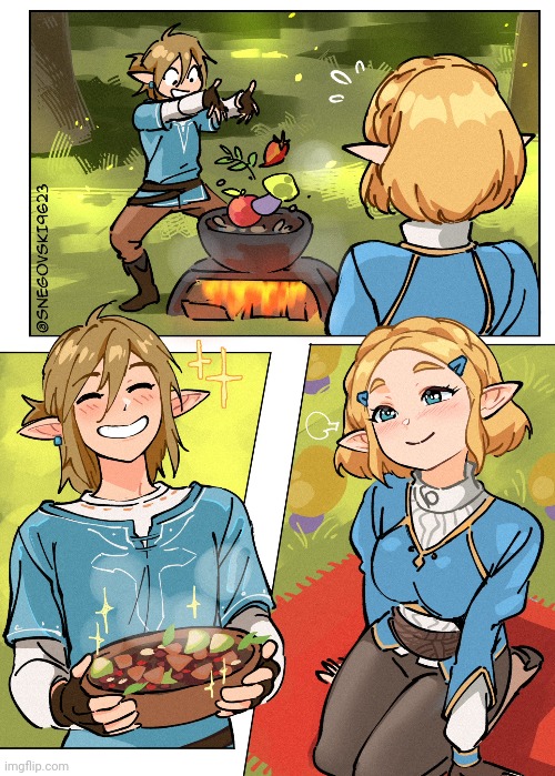 THAT'S HOW YOU MAKE HER HAPPY | image tagged in the legend of zelda breath of the wild,the legend of zelda,link | made w/ Imgflip meme maker