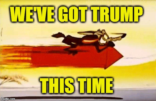 Alvin E. Bragg, Genius | WE'VE GOT TRUMP; THIS TIME | image tagged in trump | made w/ Imgflip meme maker