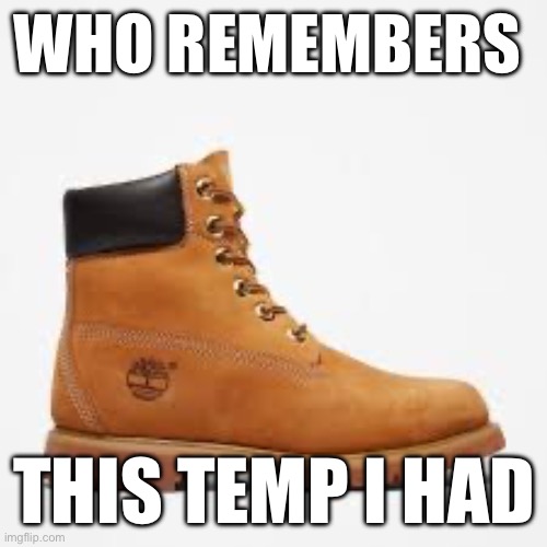 This was patttyoncrack temp | WHO REMEMBERS; THIS TEMP I HAD | image tagged in tim | made w/ Imgflip meme maker