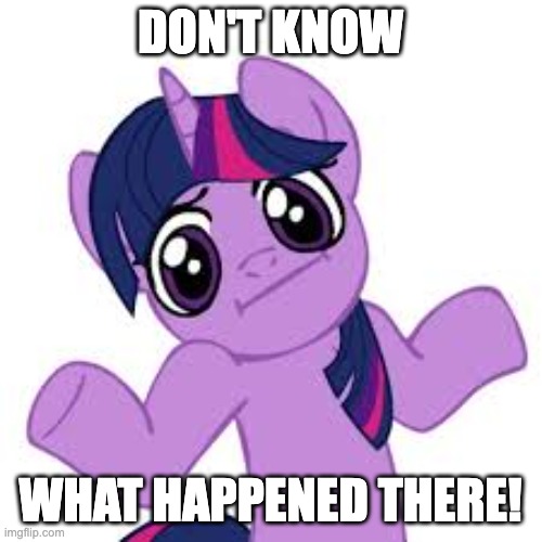 twilight shrugs | DON'T KNOW WHAT HAPPENED THERE! | image tagged in twilight shrugs | made w/ Imgflip meme maker