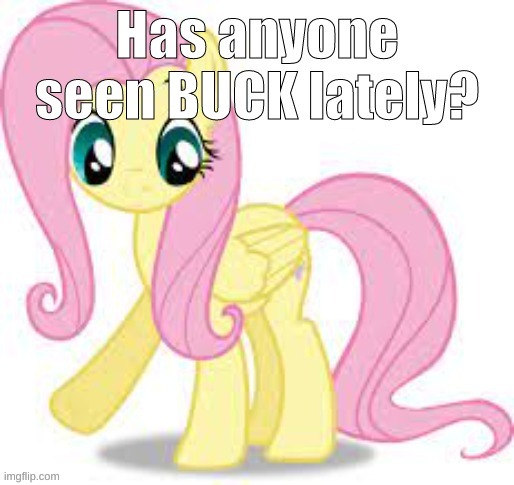 i can't find his username, and i'm wondering if anyone knows what happened | image tagged in mlp,fluttershy,parenting raising children girl asking mommy why discipline demo | made w/ Imgflip meme maker