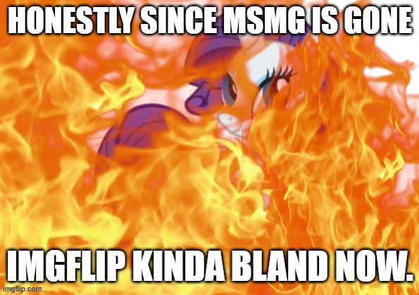 stupid horse | HONESTLY SINCE MSMG IS GONE; IMGFLIP KINDA BLAND NOW. | image tagged in stupid horse | made w/ Imgflip meme maker