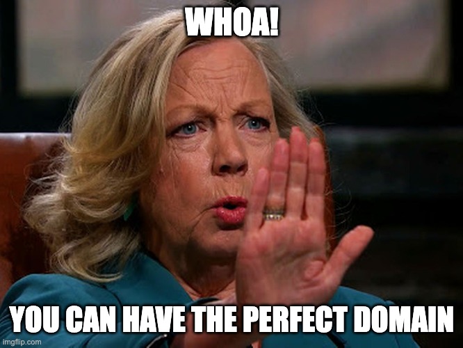Deborah Meaden | WHOA! YOU CAN HAVE THE PERFECT DOMAIN | image tagged in deborah meaden | made w/ Imgflip meme maker