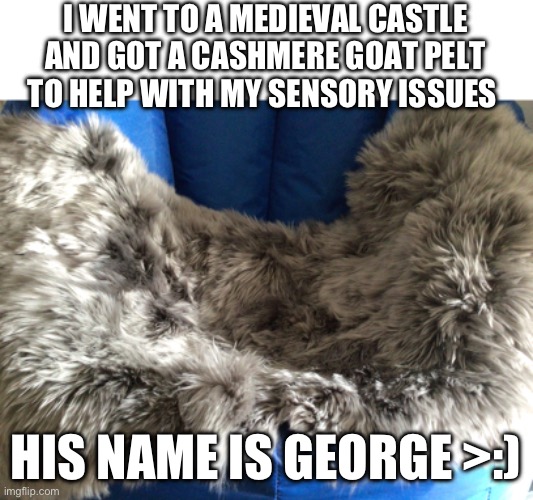 I WENT TO A MEDIEVAL CASTLE AND GOT A CASHMERE GOAT PELT TO HELP WITH MY SENSORY ISSUES; HIS NAME IS GEORGE >:) | made w/ Imgflip meme maker
