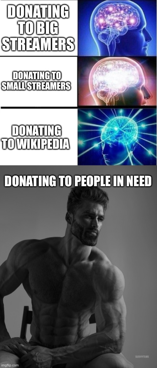DONATING TO BIG STREAMERS; DONATING TO SMALL STREAMERS; DONATING TO WIKIPEDIA; DONATING TO PEOPLE IN NEED | image tagged in expanding brain 3 panels,giga chad,memes,so true memes | made w/ Imgflip meme maker