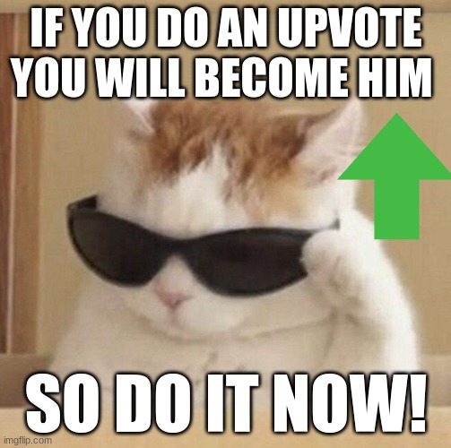 cool cat | IF YOU DO AN UPVOTE YOU WILL BECOME HIM; SO DO IT NOW! | image tagged in cool cat | made w/ Imgflip meme maker