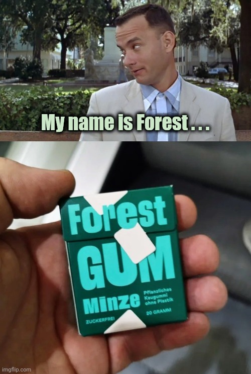 . . . and I'm an Astronaut | My name is Forest . . . | image tagged in forrest gump face,product,placement,sponsor,commercial,gumball | made w/ Imgflip meme maker