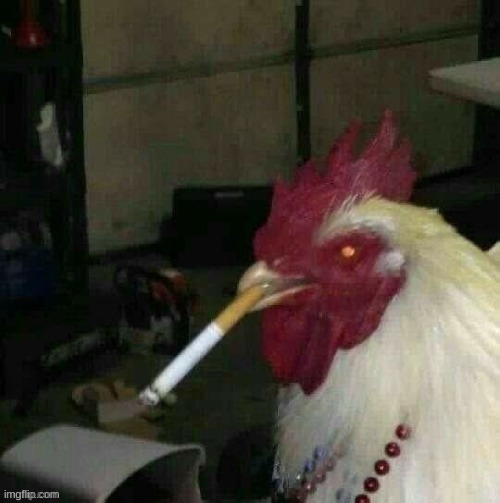 underidoderidoridoderidoo | image tagged in smoking rooster | made w/ Imgflip meme maker