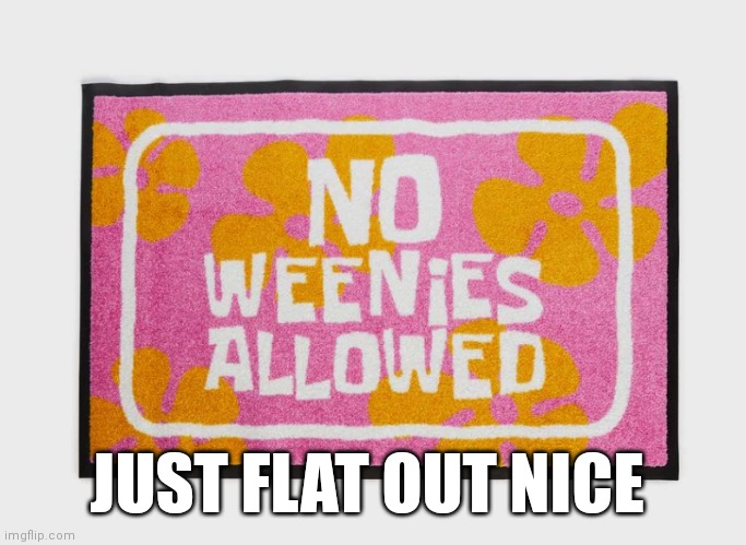 Just flat out nice | JUST FLAT OUT NICE | image tagged in funny memes,nice,no weenies allowed,spongebob | made w/ Imgflip meme maker