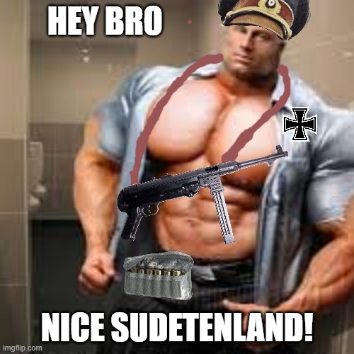 nice Sudetenland! | HEY BRO; NICE SUDETENLAND! | image tagged in hey bro nice d,world war 2,ww2,nazis,history memes,historical meme | made w/ Imgflip meme maker