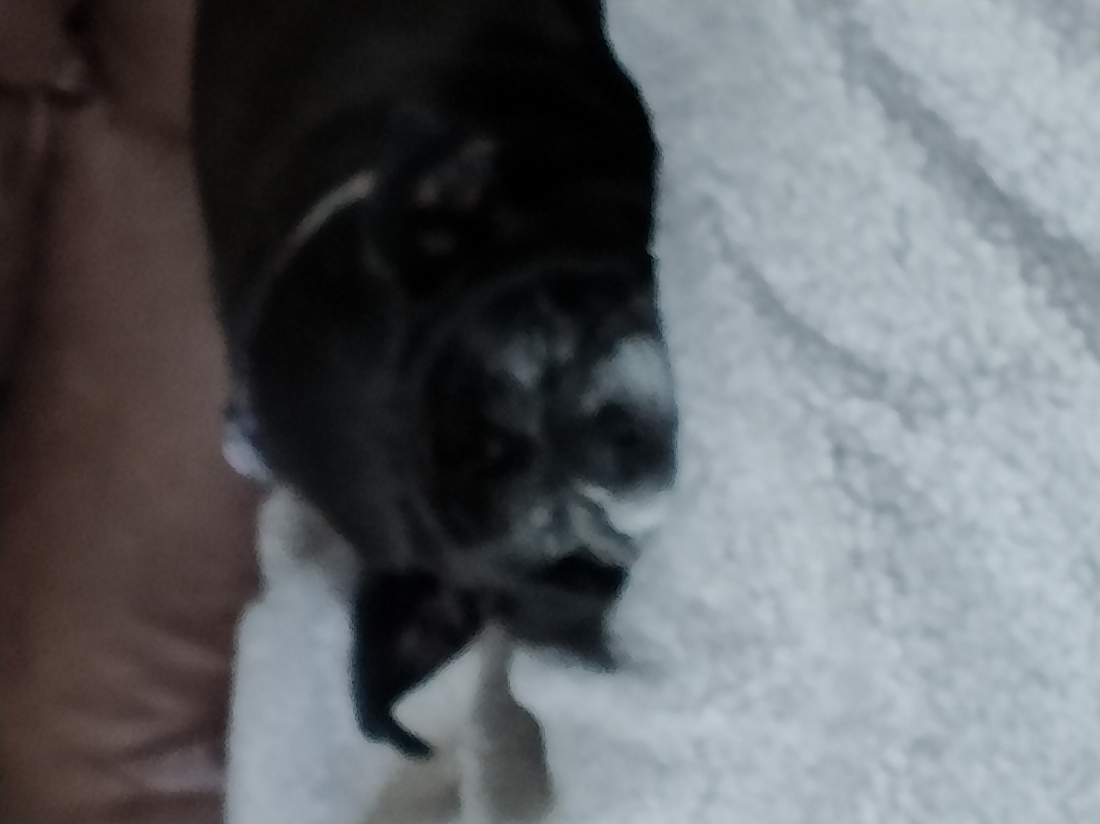 Lulu Blank Meme Template