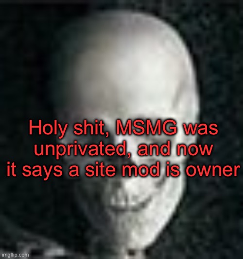 Wtf happened | Holy shit, MSMG was unprivated, and now it says a site mod is owner | image tagged in skull | made w/ Imgflip meme maker