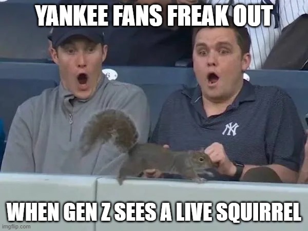 Yankee Fans Freak Out | YANKEE FANS FREAK OUT; WHEN GEN Z SEES A LIVE SQUIRREL | image tagged in yankee fans freak out | made w/ Imgflip meme maker