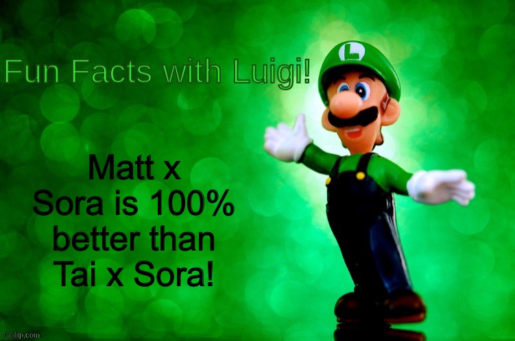 Luigi perfers Matt x Sora over Tai x Sora | Matt x Sora is 100% better than Tai x Sora! | image tagged in fun facts with luigi | made w/ Imgflip meme maker