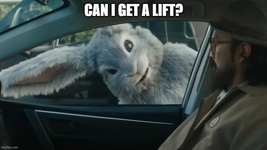 Give Him a Ride? | CAN I GET A LIFT? | image tagged in scary bunny | made w/ Imgflip meme maker