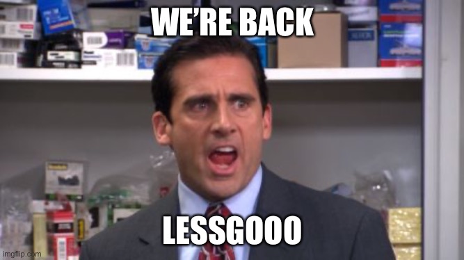 the office bankruptcy | WE’RE BACK; LESSGOOO | image tagged in the office bankruptcy | made w/ Imgflip meme maker