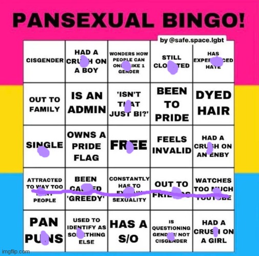 Bingo! | image tagged in pansexual bingo | made w/ Imgflip meme maker