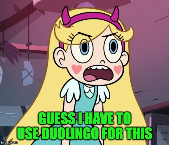 Star Butterfly frustrated | GUESS I HAVE TO USE DUOLINGO FOR THIS | image tagged in star butterfly frustrated | made w/ Imgflip meme maker