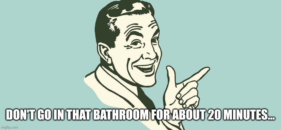 Don't go in that bathroom for about 20 minutes | DON'T GO IN THAT BATHROOM FOR ABOUT 20 MINUTES... | image tagged in hey why don't you just | made w/ Imgflip meme maker